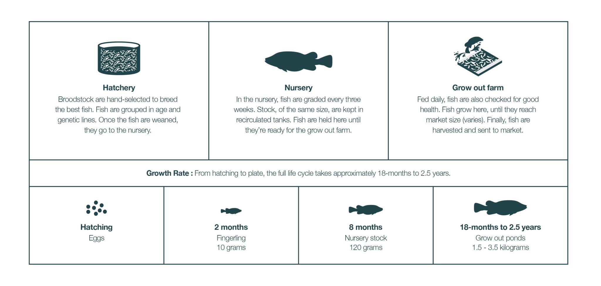 Traceability of Murray cod from Aquna Sustainable Murray Cod
